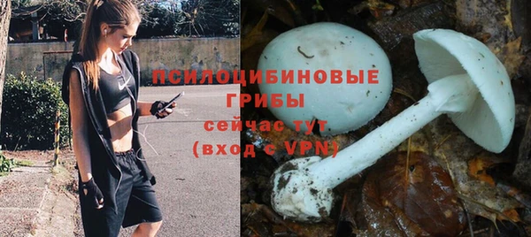 бошки Лихославль