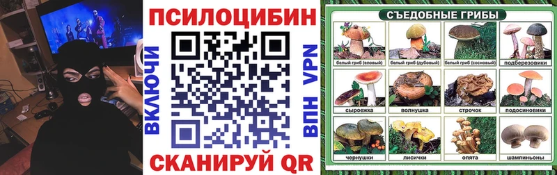 Галлюциногенные грибы Magic Shrooms  Таганрог 